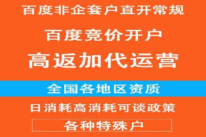 SEM优化师实战：助力企业实现低成本高回报